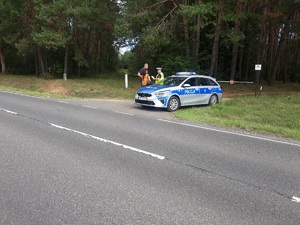 policjant i przedstawiciele służb stoją przy drodze w miejscu wypadku drogowego, na poboczu stoi radiowóz