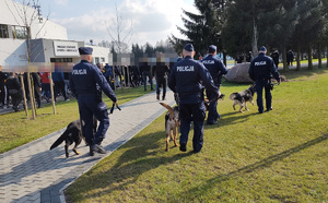 przewodnicy psów słuzbowych z pasmi idą w kierunku stadionu