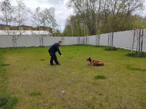 przewodnik wspólnie z psem ćwiczy posłuszeństwo na wybiegu