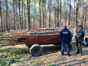 policjant i strażnik lesny stoja przy samochodzie z belami drzewa