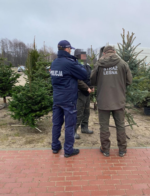 policjant ze strażnikiem leśnym stoja przy punkcie sprzedazy choinek