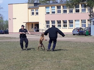 pies policyjny ze swoim przewodnikiem w trakcie szkolenia