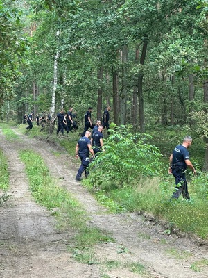 kilku policjantów wchodzi do lasu