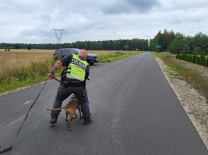 policjant trzyma psa