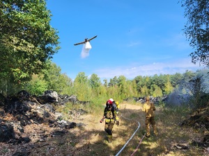 samolot z powietrza spuszcza wodę na pożar