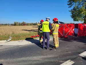 policjanta stoi na drodze ze strażakami