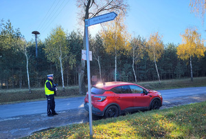 policjant stoi na drodze przy kontrolowanych pojeżdzie