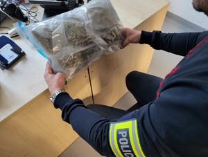 policjant trzyma w ręku worek z zabezpieczona marihuana