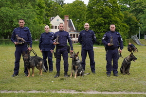zdjęcie grupowe zwycięzkich patroli ze swoimi psami