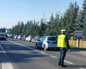 policjant stoi na drodze i obserwuje ruch pojazdów