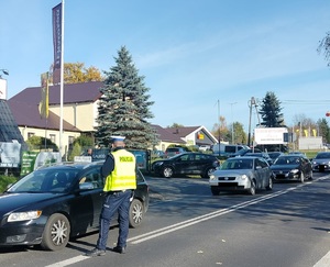 policjant stoi na drodze przy pojeździe