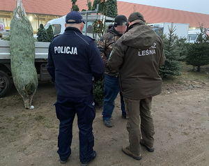 policjant oraz strażnik lesny stoją w punkcie sprzedaży choinek