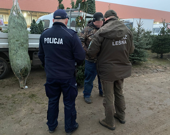 Policjanci kontrolują punkty sprzedaży choinek