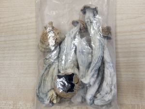 grzyby halucynogenne zapakowane w woreczek