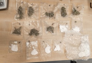 woreczki z zawartością proszku i suszu roślinnego