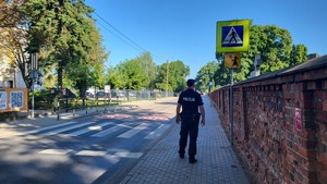 policjant stoi przy przejściu dla pieszych i sprawdza oznakowanie